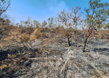 Mudanças climáticas já afetam 85% dos brasileiros, diz pesquisa
