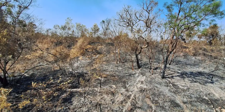 Mudanças climáticas já afetam 85% dos brasileiros, diz pesquisa