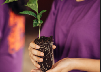 Fundação Educar abre inscrições gratuitas para oficina de sustentabilidade ambiental