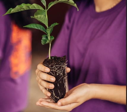 Fundação Educar abre inscrições gratuitas para oficina de sustentabilidade ambiental