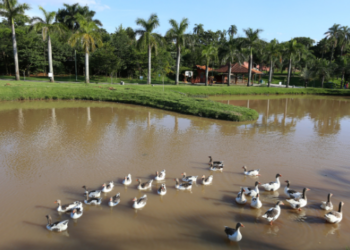 Parque das Águas recebe ação educativa sobre febre maculosa e arboviroses neste domingo