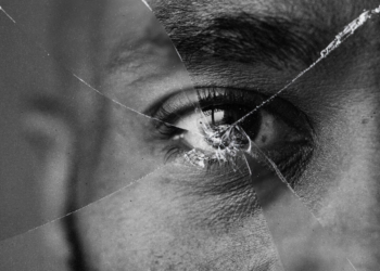 Artigo: Golpes, ilusões e blindagens – por Joaquim Z. Motta