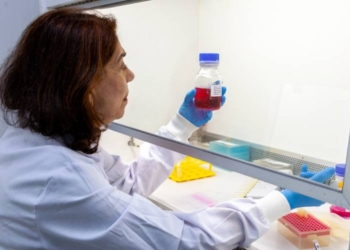Projeto vai oferecer teste genético gratuito para casais que planejam ter filhos