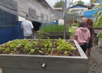Estudantes criam projeto de biogás e economia circular em comunidade