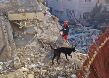 Seis dias após terremotos, Venezuela contabiliza quase 2 mil mortes