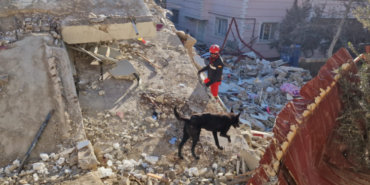 Seis dias após terremotos, Venezuela contabiliza quase 2 mil mortes