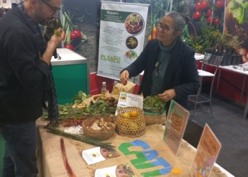 Cati celebra 10 anos do Protocolo de Transição Agroecológica em evento internacional