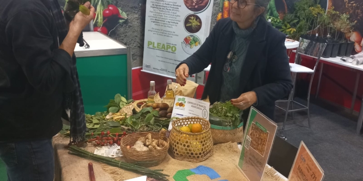Cati celebra 10 anos do Protocolo de Transição Agroecológica em evento internacional