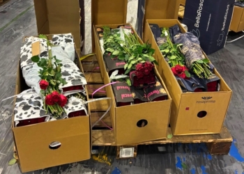 Viracopos recebe mais de 319 toneladas de flores da Colômbia e do Equador