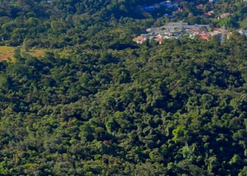 Valinhos se mobiliza contra o leilão da Fazenda Remonta marcado para 1º de julho