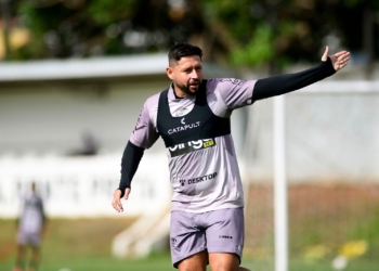 Ponte Preta busca a reação em confronto direto no Z4 diante do Botafogo