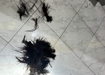 Homem é preso após cortar cabelo da namorada durante crise de ciúmes