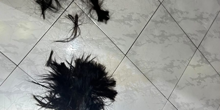 Homem é preso após cortar cabelo da namorada durante crise de ciúmes