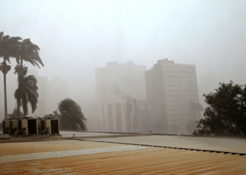 Chuva provoca queda de duas árvores em Campinas