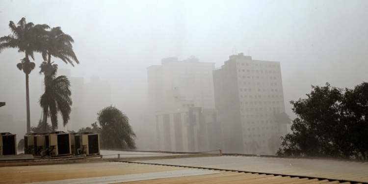 Chuva provoca queda de duas árvores em Campinas