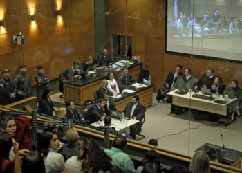 Artigo -A falência da Justiça no caso Henry Borel: impunidade que premia a omissão na tortura e na morte de uma criança – por Celeste Leite dos Santos