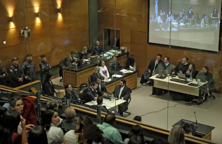 Artigo -A falência da Justiça no caso Henry Borel: impunidade que premia a omissão na tortura e na morte de uma criança – por Celeste Leite dos Santos