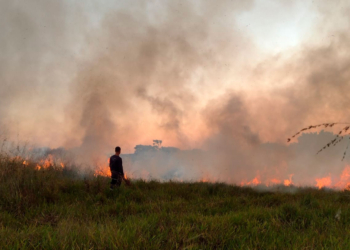 Incêndio de grande proporção atinge área de vegetação em Cosmópolis
