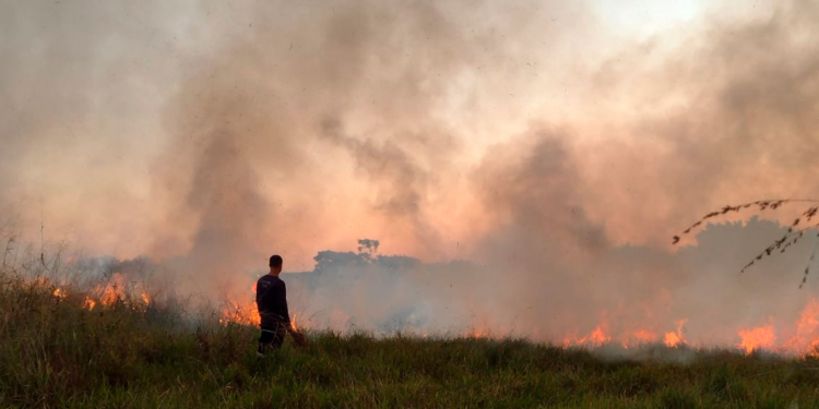 Incêndio de grande proporção atinge área de vegetação em Cosmópolis