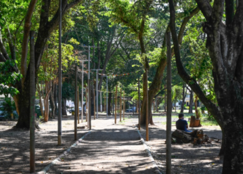 Após despacho do MP, Prefeitura de Campinas faz interdição parcial de área da Praça do Coco