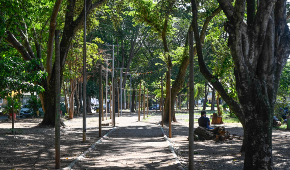 Após despacho do MP, Prefeitura de Campinas faz interdição parcial de área da Praça do Coco