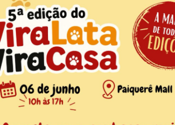 ViraLata ViraCasa promove megafeira de expositores neste sábado