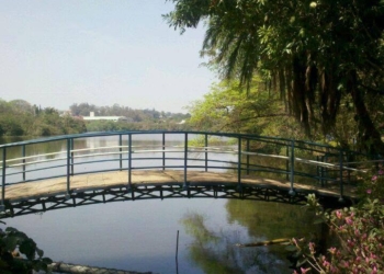 Cultura próxima da Natura em Campinas – por José Pedro Martins