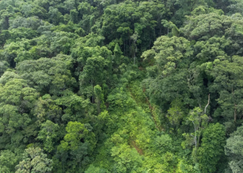 Fundação Florestal recebe inscrições de concurso público para 68 vagas