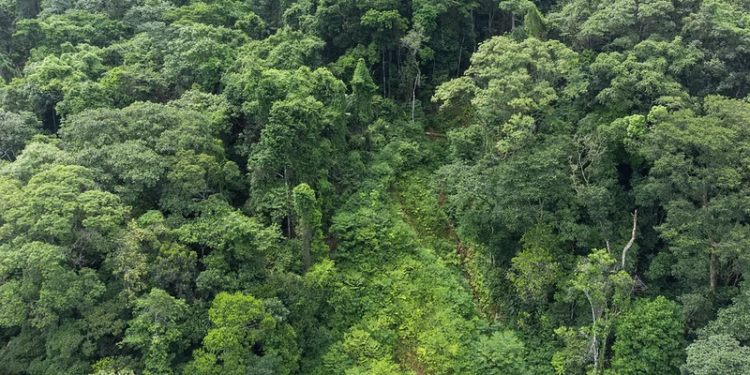 Fundação Florestal recebe inscrições de concurso público para 68 vagas