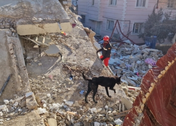 Bombeiros de SP encerram missão na Venezuela após terremotos