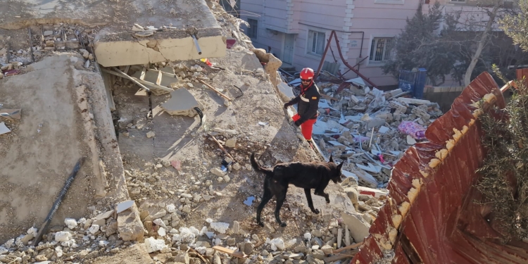 Bombeiros de SP encerram missão na Venezuela após terremotos