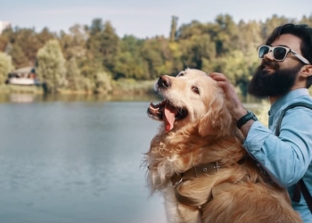 Férias de julho: viagens e mudanças na rotina exigem cuidados especiais com animais de estimação