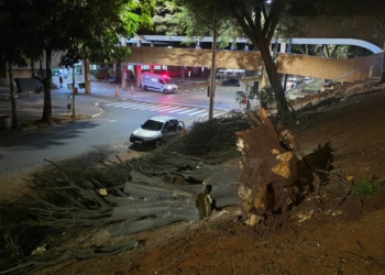 Vendaval atinge RMC e provoca estragos; alerta da Defesa Civil vai até sexta