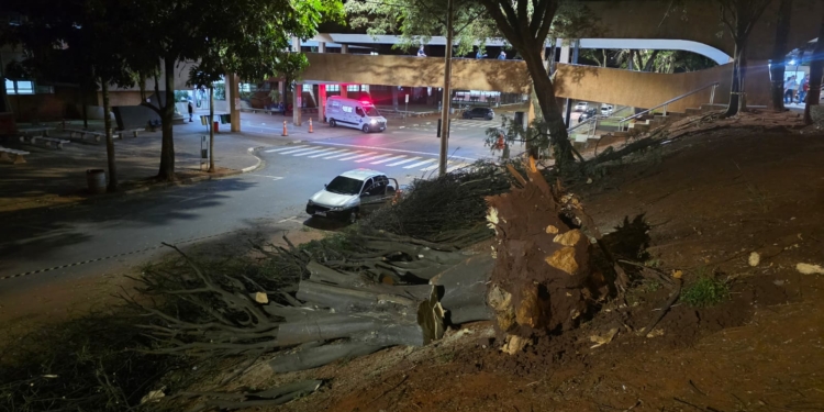 Vendaval atinge RMC e provoca estragos; alerta da Defesa Civil vai até sexta