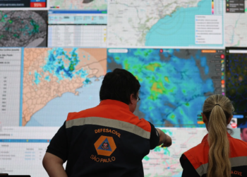 Ventania em SP: saiba como se proteger e evitar acidentes