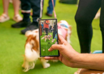 Galleria Shopping tem Encontro de Schnauzers com programação gratuita