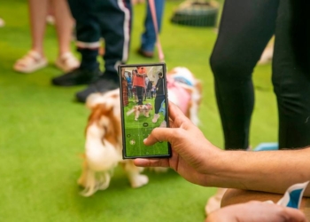 Shopping promove Encontro de Schnauzers com programação gratuita