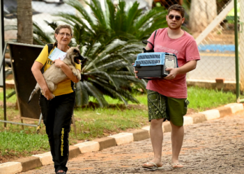 Cães e gatos: Consultórios Veterinários Móveis de Campinas têm novas datas de atendimento