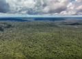 Um mês decisivo para a legislação ambiental no Brasil – por José Pedro Martins