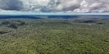 Um mês decisivo para a legislação ambiental no Brasil – por José Pedro Martins